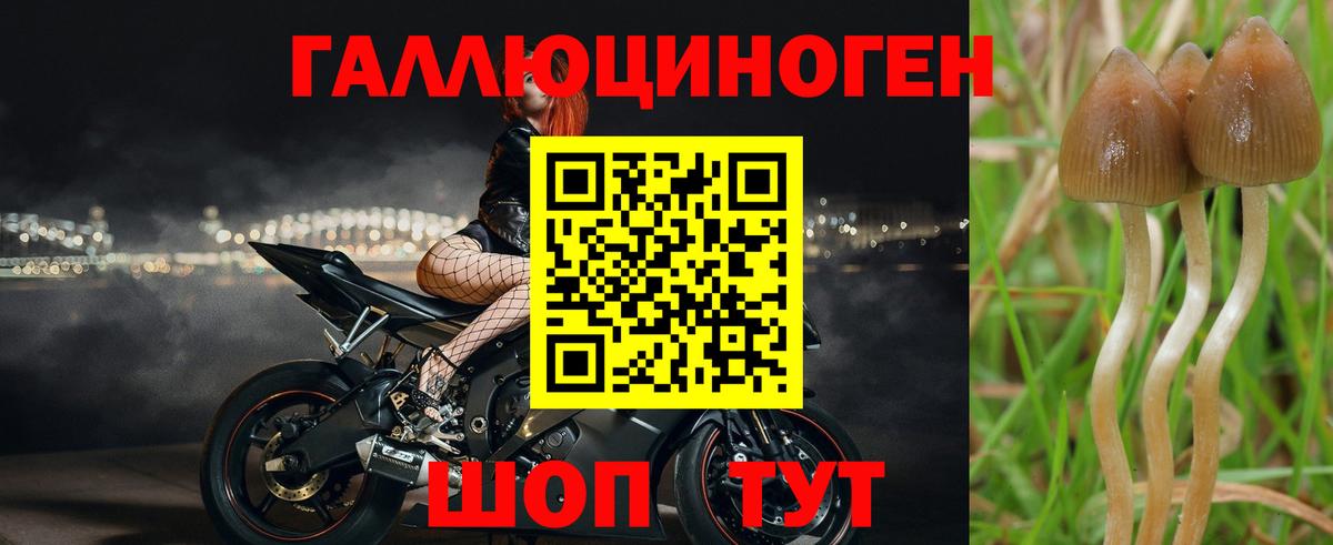 Галлюциногенные грибы ЛСД Реутов