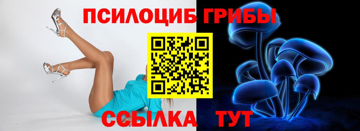 Меф Реутов