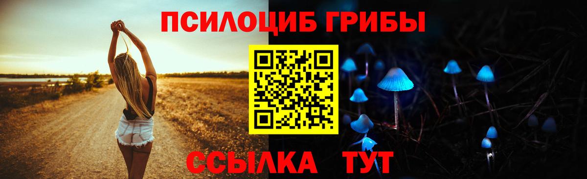 Реутов  Галлюциногенные грибы Psilocybine cubensis  Вход с VPN 